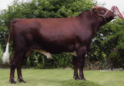 lisnamulligan fairway